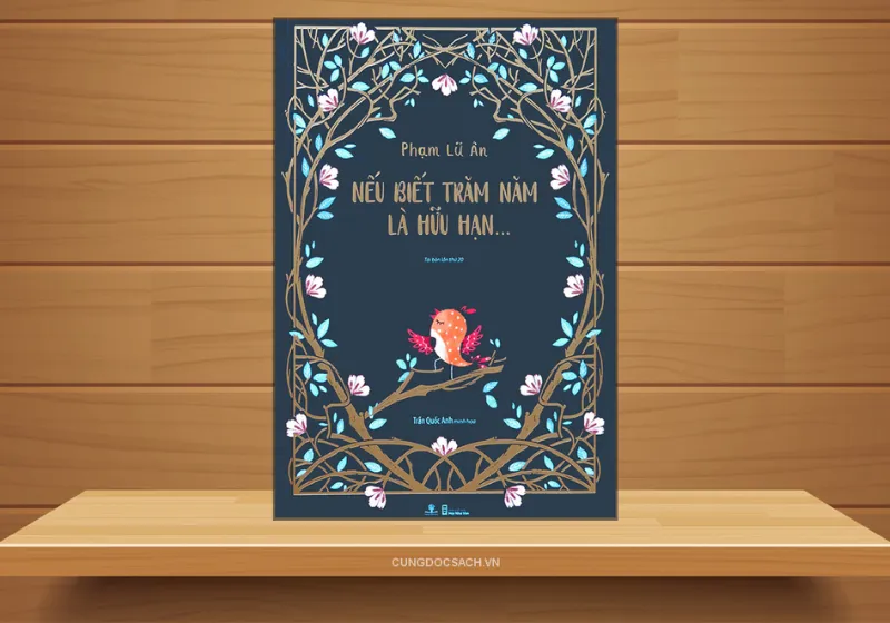 review nếu biết trăm năm là hữu hạn