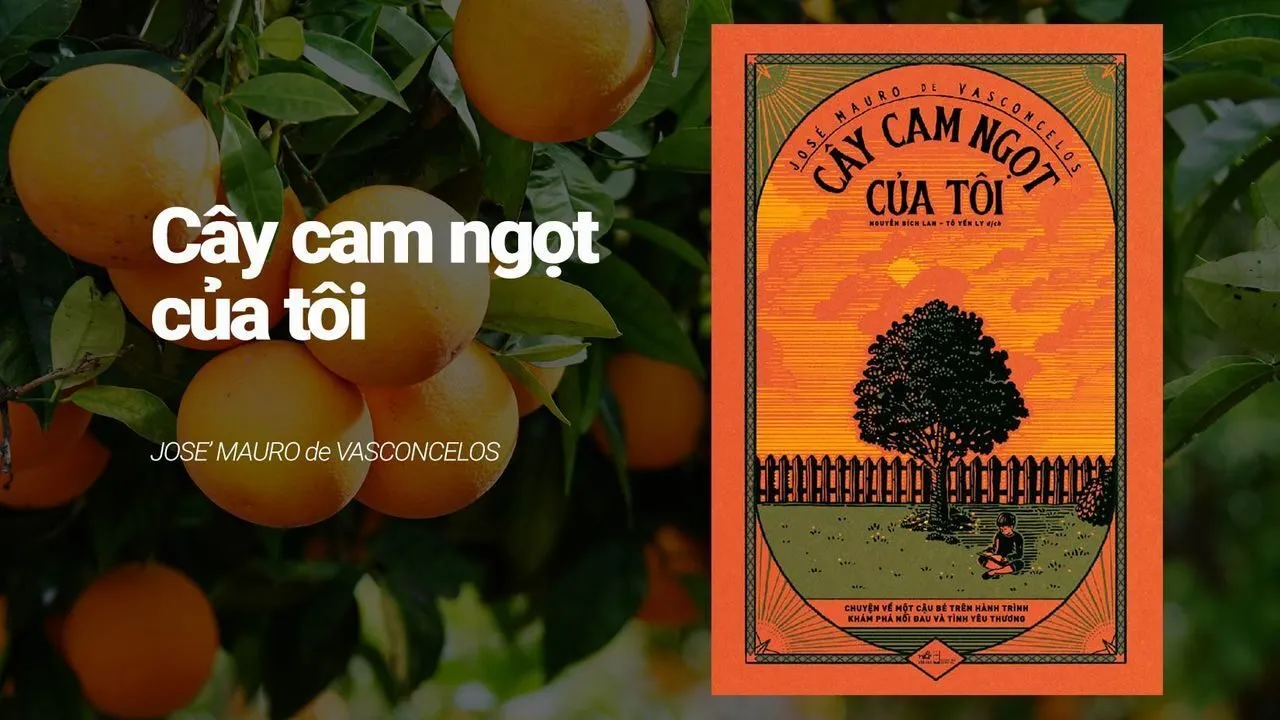 cây cam ngọt của tôi review